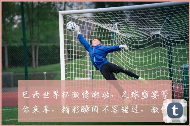 巴西世界杯激情燃动，足球盛宴等你来享，精彩瞬间不容错过，激情碰撞，谁将问鼎冠军